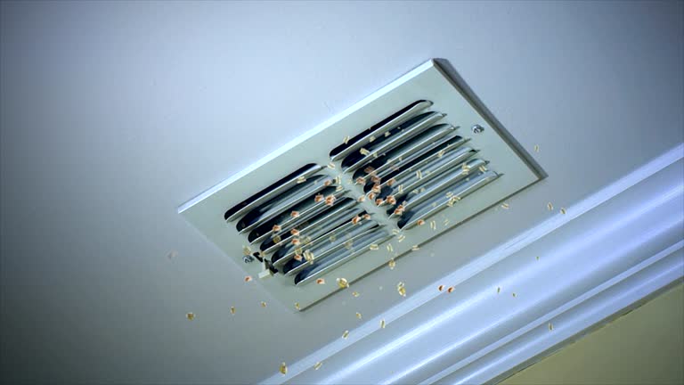 Best HVAC Duct Inspection Services  in Millville, NJ
