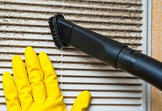 Best Air Duct Mold Removal  in Millville, NJ